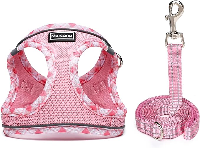 Mercano Soft Mesh Dog Harness and Leash Set, No-Chock Step-in Reflective Breathable Lightweight Easy Walk Vest Harnesses with Safety Buckle for Small Dogs, Cats (Pink, M)