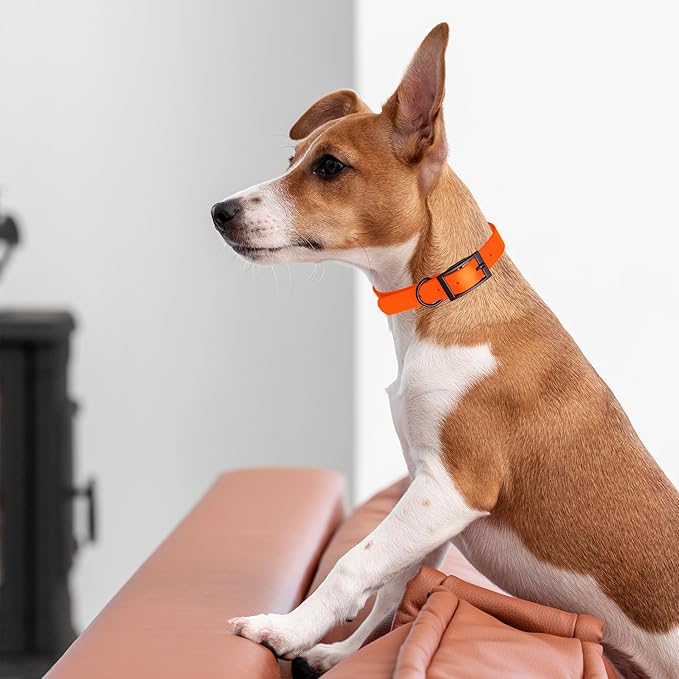 Dogline Biothane Coated Webbing Dog Collar with Black Metal Hardware: Durable Easy-Clean Everyday Collar for Dogs - Comfortable Adjustable Odor-Resistant Pet Collar, W3/4" x L15-18, Hunter Orange