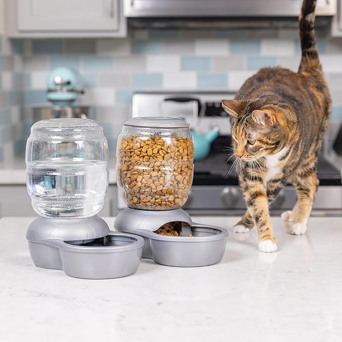 Petmate Replendish Feeder with Automatic Cat and Dog Feeder Grey, Made in USA