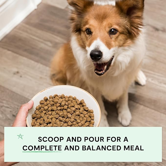 Open Farm, Grain-Free Dry Dog Food, Complete & Balanced Kibble, Sustainably & Ethically Sourced Ingredients, Non-GMO Veggies & Superfoods, Catch-of-The-Season Whitefish Recipe, 4lb Bag