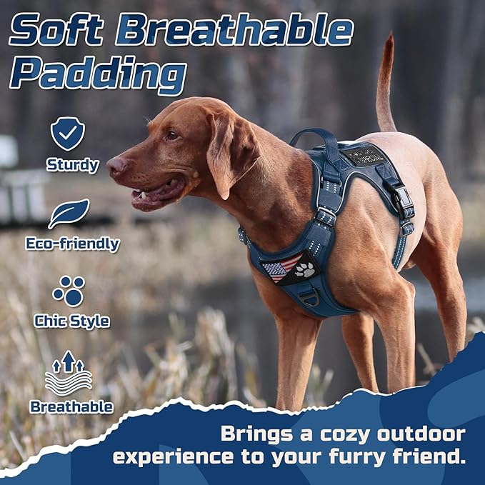 rabbitgoo Dog Harness No Pull, Military Dog Harness Medium Sized Dog with Handle & Molle, Easy Control Service Dog Vest Harness Training Walking, Adjustable Reflective Tactical Pet Harness, Blue, M