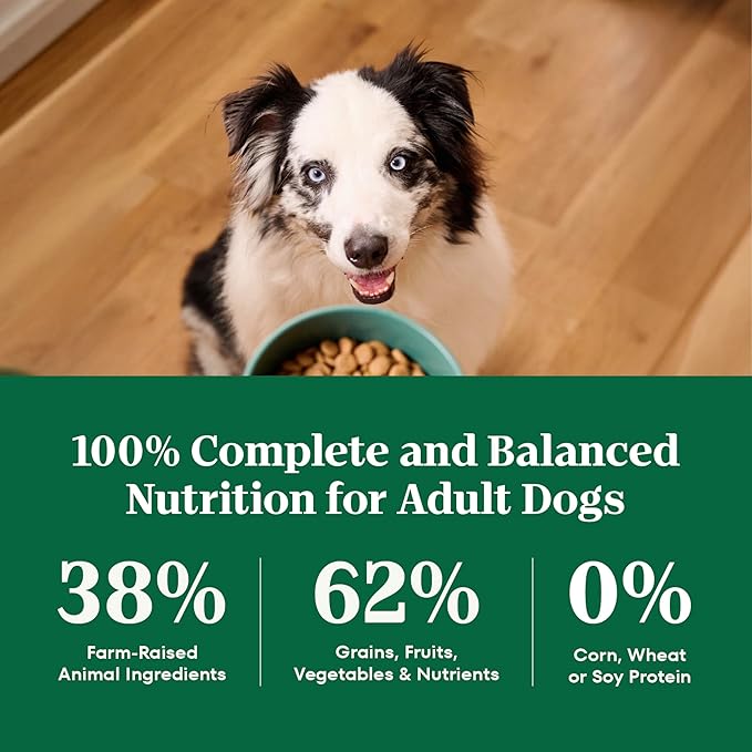 Nutro Natural Choice Adult Large Breed Dog Food Dry, Chicken & Brown Rice Recipe, 36 lb. Bag