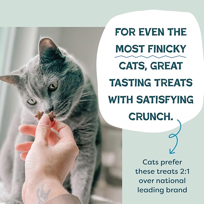 Shameless Pets Crunchy Cat Treats - Catnip Treats for Cats with Digestive Support, Kitten Treats with Real Ingredients, Natural & Healthy Flavored Feline Snacks - Fintastic Catnip, 1-Pk (Pack of 2)