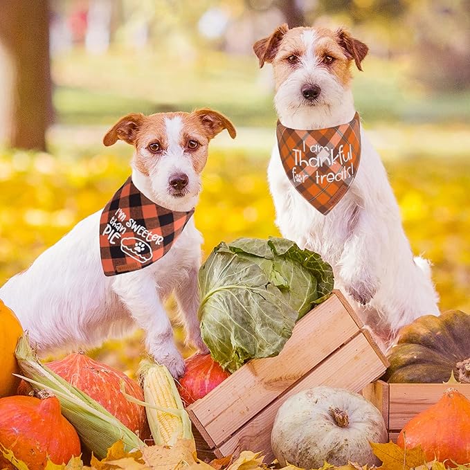 ADOGGYGO Thanksgiving Dog Bandanas, Orange Plaid Pet Scarf, Premium Cotton Fabric, Multiple Sizes Offered, Fall Thanksgiving Bandanas for Small Dogs Pets (Small)