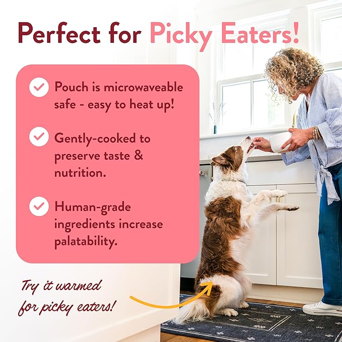 Portland Pet Food Company Fresh Dog Food Pouches Human-Grade Toppers Wet Pet Meal & Mix-Ins - Gluten-Free Limited Ingredient Wally’s Salmon N’ Rice - Large & Small Breed, Puppy to Senior - 5 Pack