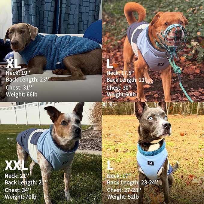 Reversible Dog Winter Coat, Waterproof Warm Fleece Sweater Windproof Lightweight Pet Snow Jacket for Medium Large Dogs with Double Ended Zipper, Cold Weather Dog Coat,Blue,XXL