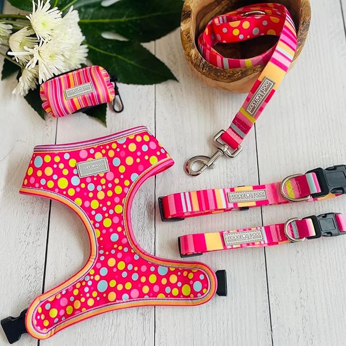 Lucky Love Dog - Easy Click Buckle Dog Collar with Leash Set Combo, Durable & Comfortable for Male & Female Dogs, Pet Collar for Small to Large Dogs, Secure Fit - Molly Combo, Medium