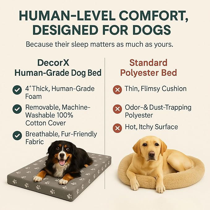 Human Dog Bed, 60x30 Inch, for Adults — Orthopedic Mattress, Protective Liner, 100% Cotton Fitted Sheet — Breathable, Hypoallergenic, Easy to Clean — Gray