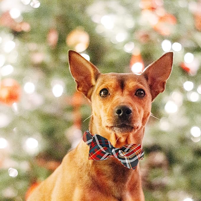 Lionheart Glory Plaid Christmas Dog Collar - Adjustable Bow Tie Collar for Small Dog or Boy/Girl - Pet Gift