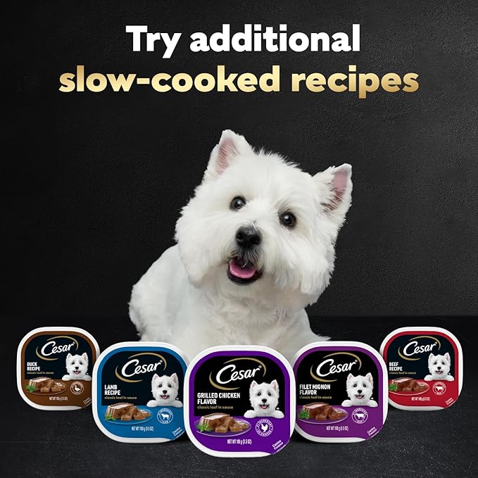 Cesar Wet Dog Food Classic Loaf in Sauce, Filet Mignon Flavor, Porterhouse Steak Flavor, Grilled Steak & Eggs Flavor, and Beef Flavor, 3.5 oz. Easy Peel Trays, Variety Pack, 60 Count (Pack of 1)