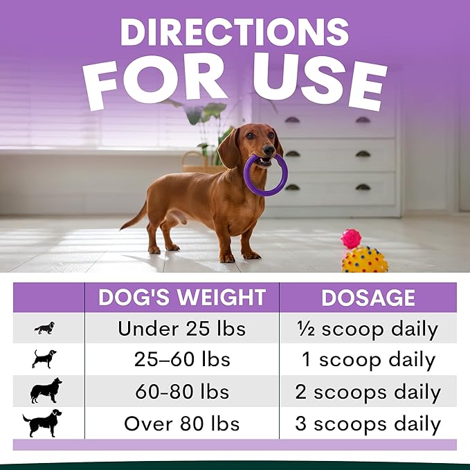 Stress and Anxiety Supplement for Dogs - Calming Dog Powder Supplement - Decreases Stress, Calms Fear & Anxiety, Eases Aggression & Insomnia, Relaxes Body and Mind - Beef Flavour - 3.2oz - 45 Scoops