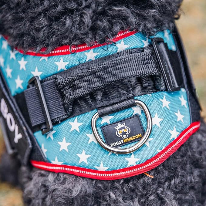 Personalized No-Pull Dog Harness with Name Patch, Adjustable, Reflective, Padded, Heavy Duty Pet Vest to Prevent Tugging, Pulling, or Choking, Training and Walking, Rose Red, S