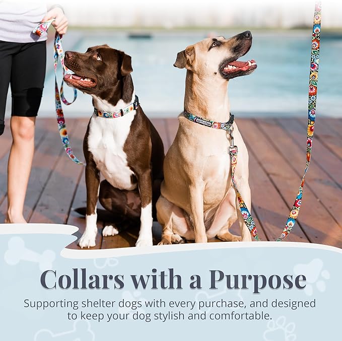 Lucky Love Dog - Adjustable Dog Collar with Easy Click Buckle for Small to Large Ones, Durable, & Comfortable for Male & Female Dogs, Pet Collar for Puppies & Adult Dogs - Blackbird, X-Small