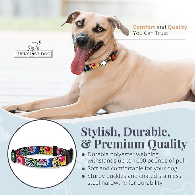 Lucky Love Dog - Adjustable Dog Collar with Easy Click Buckle for Small to Large Ones, Durable, & Comfortable for Male & Female Dogs, Pet Collar for Puppies & Adult Dogs - Blackbird, Small