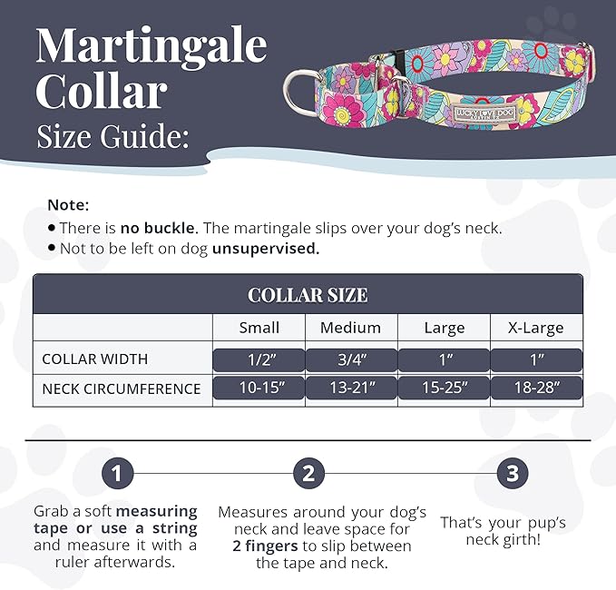 Lucky Love Dog Martingale Dog Collar - Adjustable, No-Slip, Durable, & Soft Webbing Collar for Male and Female Dogs Ideal for Training & Walking - Caroline, Small