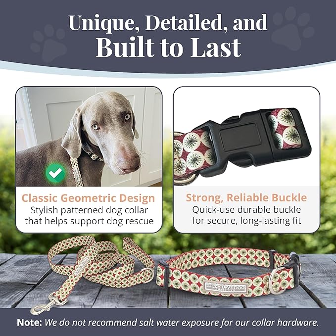 Lucky Love Dog - Easy Click Buckle Dog Collar with Leash Set Combo, Durable & Comfortable for Male & Female Dogs, Pet Collar for Small to Large Dogs, Secure Fit - Pongo Combo, XS