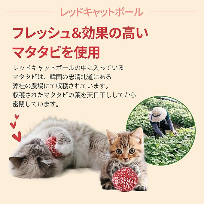 JAYU PET Red Cat Ball [W/O Bell Version] - Handmade Silvervine Cat Toy with Catnip, Interactive Matatabi Ball for Indoor Cats & Kittens, Feline Play Toy & Gift (2.7 inch)