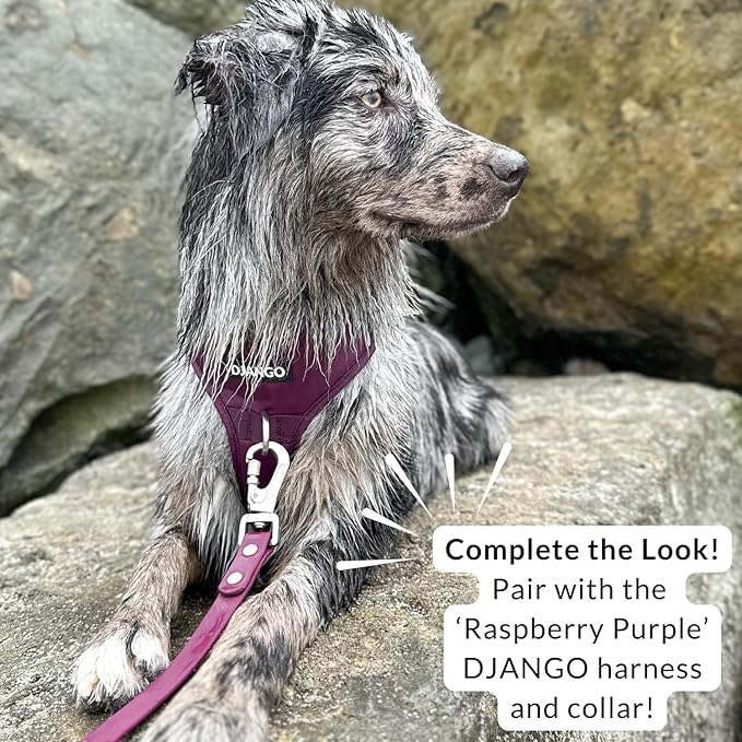 DJANGO Cotton Rope Dog Leash 5ft – Handcrafted Dog Leash and Purple Ombre Braided Leash for Small, Medium, and Large Dogs – Durable 5 Foot Training Lead with Silver Hardware – Raspberry Purple