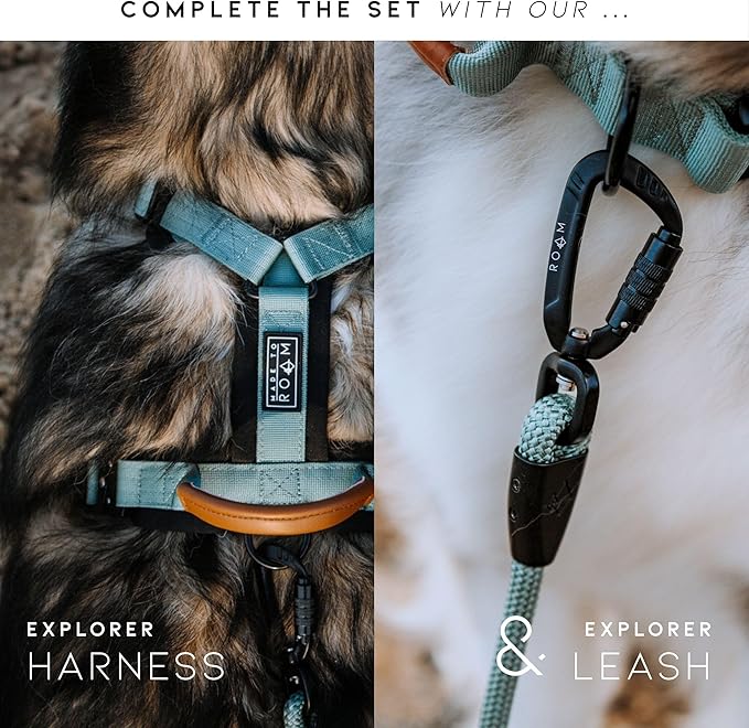 Made to ROAM Premium Explorer Control Collar - Adjustable Heavy Duty Nylon Dog Collar with Quick-Release Metal Buckle and Handle (Washington Rain, Control Size 2.5)