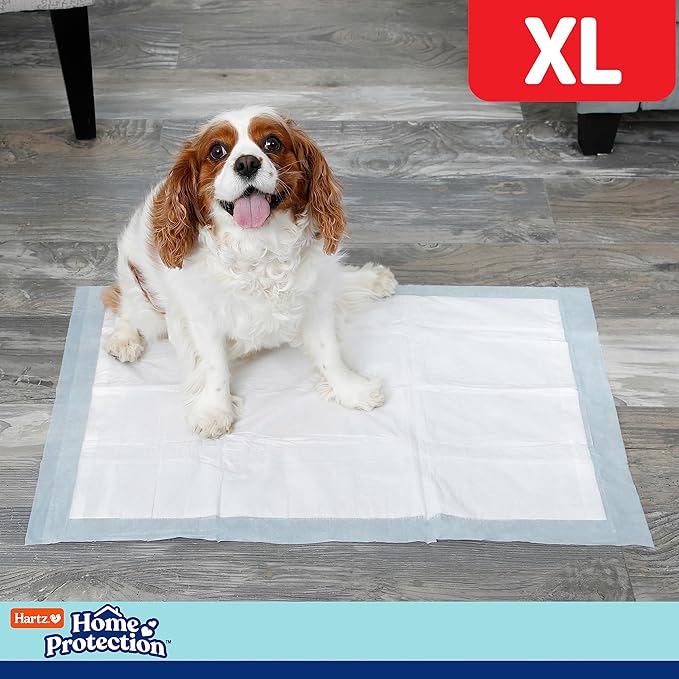 Hartz Home Protection Mountain Fresh Scented Dog Pads, XL 60 Count, Super Absorbent & Won't Leak, Odor Eliminating
