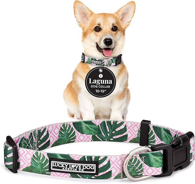 Lucky Love Dog - Adjustable Dog Collar with Easy Click Buckle for Small to Large Ones, Durable, & Comfortable for Male & Female Dogs, Pet Collar for Puppies & Adult Dogs - Laguna, Small