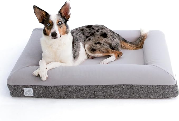 Luxury Essential Orthopedic Memory Foam Dog Bed with Waterproof Liner and Machine Washable Cover with YKK Zippers (Medium 37" L x 30" W x 6" Th)