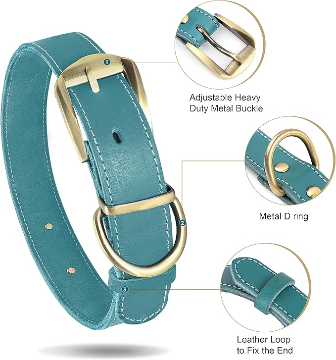 Didog Genuine Leather Dog Collars with Engraved Nameplate, Personalized Soft Leather Dog Collar with Custom ID Tag, Brown/Green/Red for Medium Large Dogs (XL,Blue)