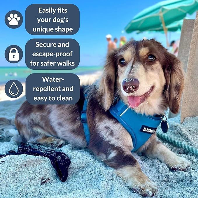 DJANGO Adventure Dog Harness - Stylish & Durable Large Dog Harness for Outdoor Adventures and Everyday Wear - Pacific Blue Neoprene Adjustable Harness for Dogs with Reflective Piping, Brass D-Ring