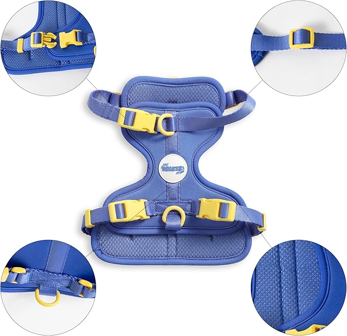 HNS1001C Arlo Small Adjustable Soft Padded No Pull Pet Harness with 3 Buckles and 3 Leash Clips, Curaçao