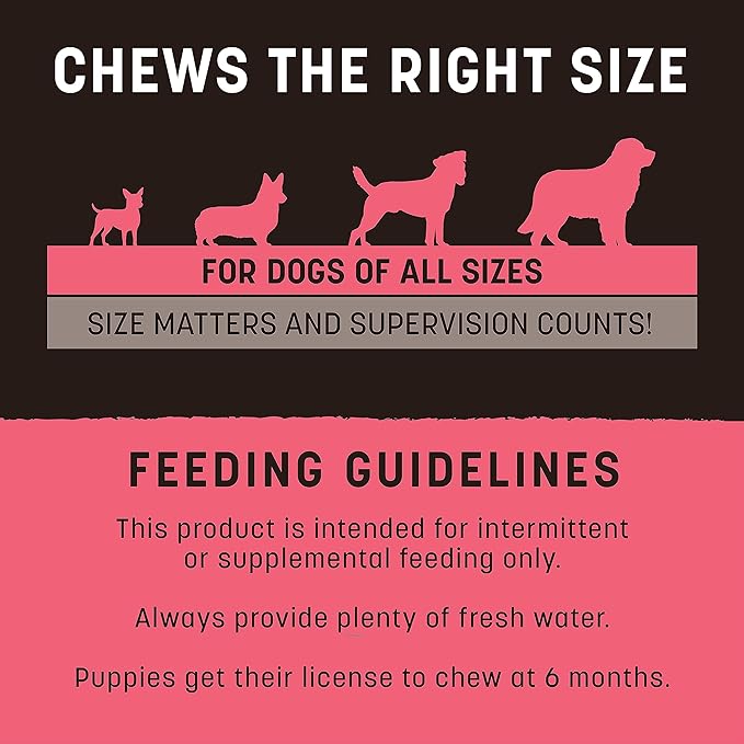 Earth Animal No Hide Strips - Natural Rawhide Free Dog Chew Strips, Salmon Free - 4 Count