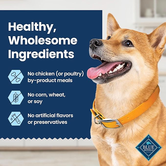 Blue Buffalo Small Dental Chews for Dogs, Daily Dental Care Dog Treats Made in The USA with Natural Ingredients, Chicken & Spearmint (84 Count)
