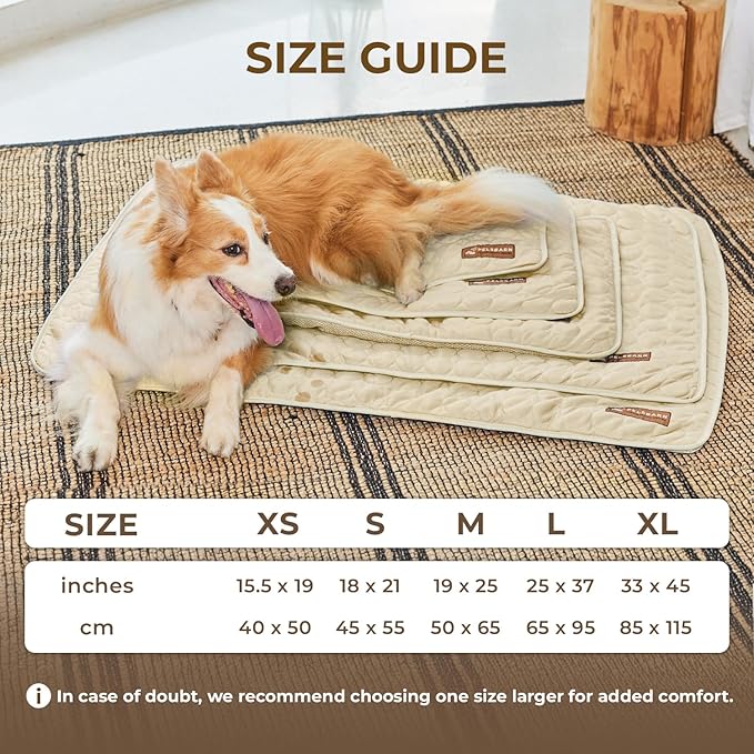 Pelsbarn Dog Cooling Mat- Ice Silk Summer Comfort, Self Cooling, Non-Slip Dog Pad, Durable & Washable, Mat for Extra Large Dogs 33" x 45", Support Shelter Dogs with Every Purchase (Beige)