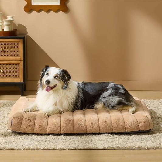 LE SURE Cute Orthopedic Dog Bed Large Sized Dog, Waterproof Chic Flat Pet Beds with Removable Washable Cover, Fuzzy Thick Egg Crate Foam Pet Mat for Indoor Use (36" x 27", Beige)