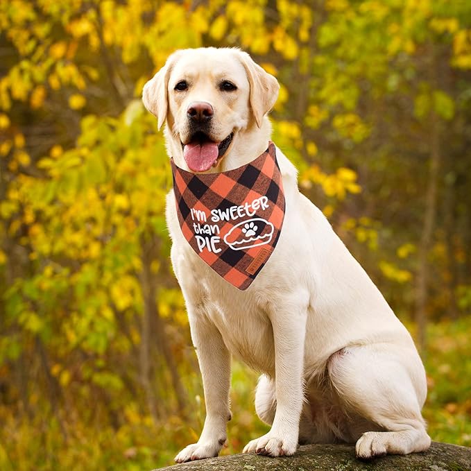 ADOGGYGO Thanksgiving Dog Bandanas, Orange Plaid Pet Scarf, Premium Cotton Fabric, Multiple Sizes Offered, Fall Thanksgiving Bandanas for Medium Large Dogs Pets (Large)