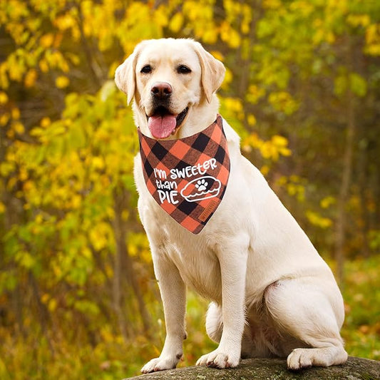 ADOGGYGO Thanksgiving Dog Bandanas, Orange Plaid Pet Scarf, Premium Cotton Fabric, Multiple Sizes Offered, Fall Thanksgiving Bandanas for Medium Large Dogs Pets (Large)