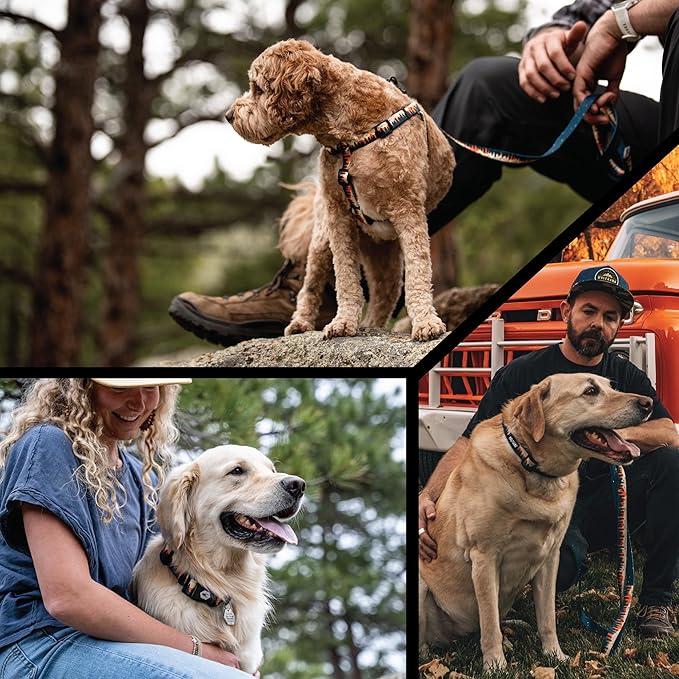 Wolfgang Heavy Duty, Adjustable Dog Collar with Quick Release Nylon Buckle for Walking & Training, Overland Print, Medium