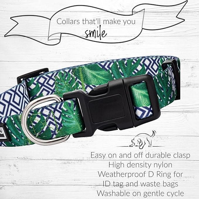 Lucky Love Dog Collar, Beautiful & Vivid Pattern Small Boy Dog Collars, Easy On & Off Clasp Accessory (Blue Laguna, S)