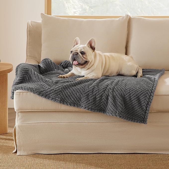 Bedsure Dog Blanket for Medium Dogs Washable - Fluffy Fuzzy Puppy Cat Blanket with Premium 300GSM Coral Fleece Soft for Pet Kitten Doggy, Grey, 30x40IN