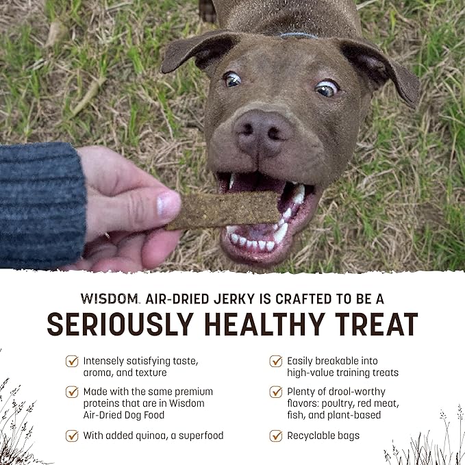 Earth Animal Wisdom Air Dried Jerky - from The Soil Recipe Premium Natural Insect Based Jerky Strips Dog Treats - 3 Pack 4 oz Bag