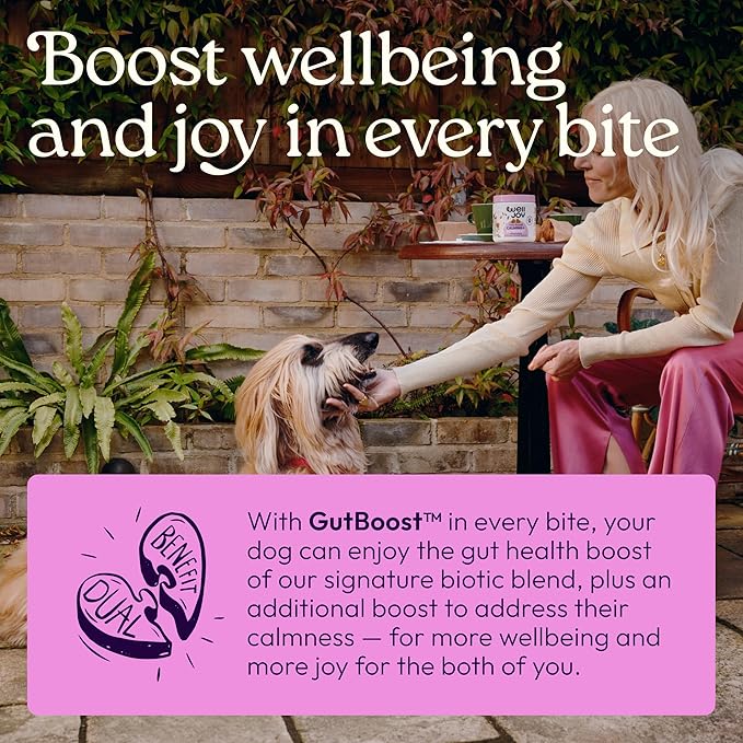 WellJoy Dog Supplement Calming+ GutBoost | Dog Health Supplement | Promotes Relaxation & Calmness | Dual-Benefit GutBoost Formulation | Vet Formulated | USA Made | Chicken Flavor | 90 Soft Chews