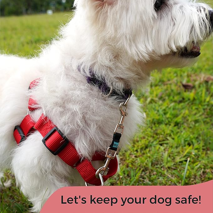 Gentle Creatures Collar Companion - Mini to Small Dogs Collar Backup Clip for Dog Harness, Prong Collar, Pinch Collar, Gentle Lead - Double Ended Backup Clasp - Harness to Collar Safety Clip