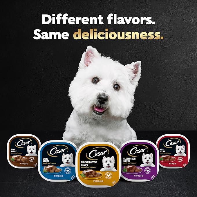 Cesar Puppy Classic Loaf in Sauce Wet Dog Food, Chicken & Beef Recipe, 3.5 oz. Easy Peel Trays, Dog Food Toppers, 24 Count (Pack of 1)