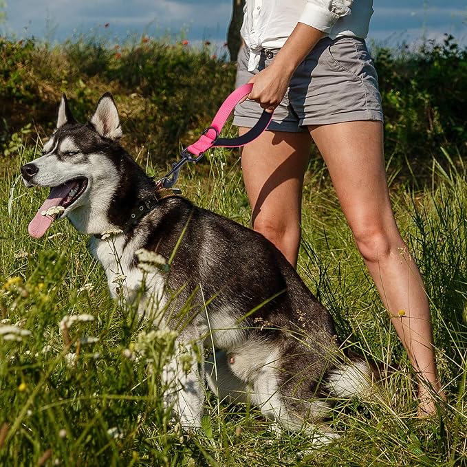 Dog Leash, Short Dog Leash, Leashes for Large Breed Dogs,Traffic Padded Handle- Reflective Training Lead, Perfect for Medium to Large Dogs(12 Inch, Pink)