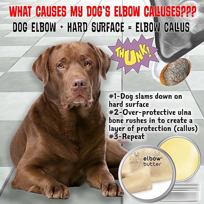The Blissful Dog Elbow Butter for Dry, Cracked Calluses, Lick-Safe Dog Balm, Soothing Elbow Balm with Moisturizing Shea Butter, Almond, Olive, and Essential Oils, Pet Supplies, 8 oz. Tin