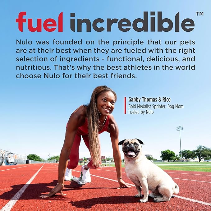 Nulo Frontrunner Ancient Grains High-Protein Dog Food, Chicken, Oats, & Turkey Recipe- Natural Dry Dog Food with Probiotics, Grain-Inclusive Kibble for Adult Dogs, 5 lb Bag