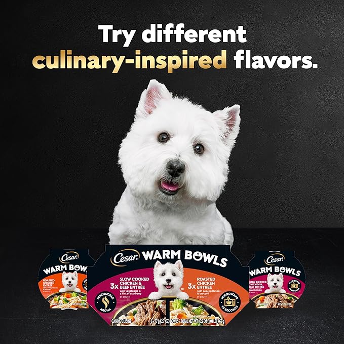 Cesar Warm Bowls Wet Dog Food Variety Pack: Chicken & Beef; and Chicken Entrees, 2.7 oz Bowls, 6 Count