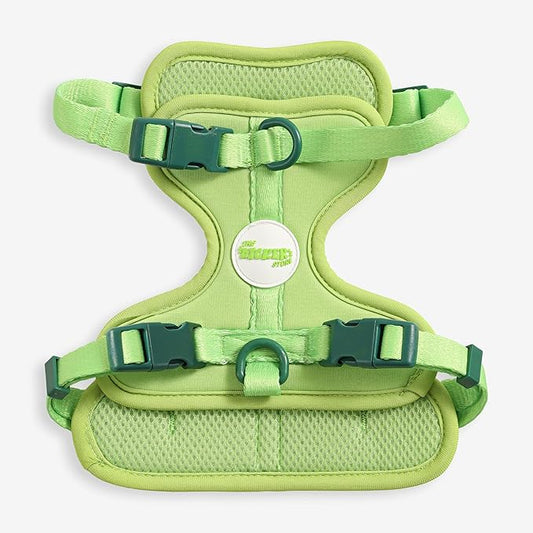 HNS1001B Arlo Small Adjustable Soft Padded No Pull Pet Harness with 3 Buckles and 3 Leash Clips, Mojito