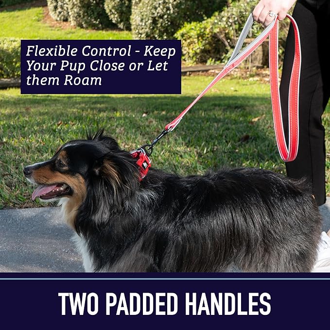 Leash Boss Double Handle Dog Leash, 6 Ft Reflective Dog Leash with Two Padded Handles for Large Dogs or Medium Dogs That Pull (Red)