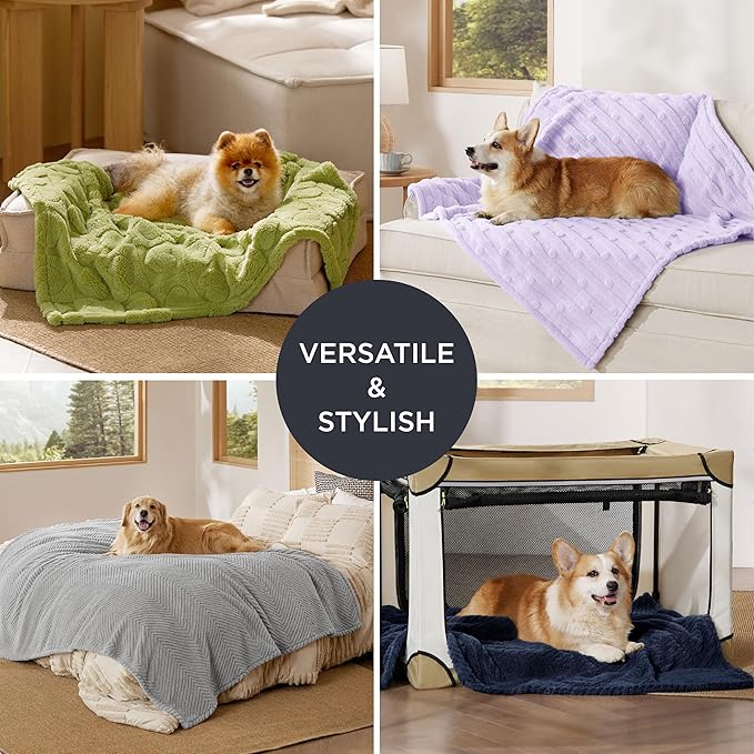 Bedsure Dog Blanket for Small Dogs Washable - Fluffy Fuzzy Puppy Cat Blanket with Premium 300GSM Coral Fleece Soft for Pet Kitten Doggy, Green, 25x35IN