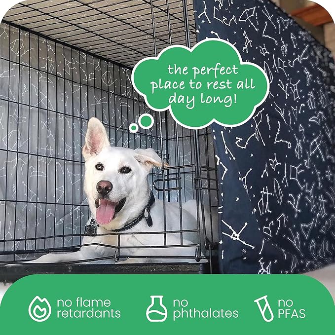 Molly Mutt Rocketman Dog Crate Cover, 100% Cotton Canvas Cover with 2 Roll-Up Panels, Ideal for Dog or Cat Crate, Durable, Washable, and Free of Harmful Chemicals, 30" x 19" x 21"